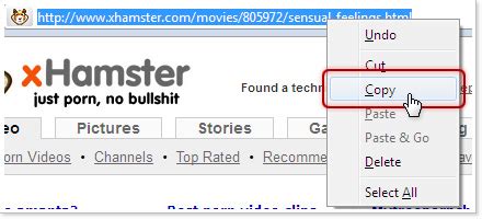 XHamster : can you download videos from the website with last